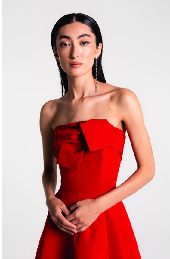 Catherine Regehr Strapless Tie Gown Shop Cindy Halle Catherine Regehr Strapless Tie Gown Shop Cindy Halle