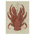 Coconut Crab Cards - Pack of 6
