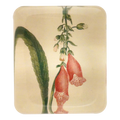 John Derian Foxglove Rectangular Charm