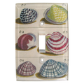 Shells Switch Plate Cover - Single Switch