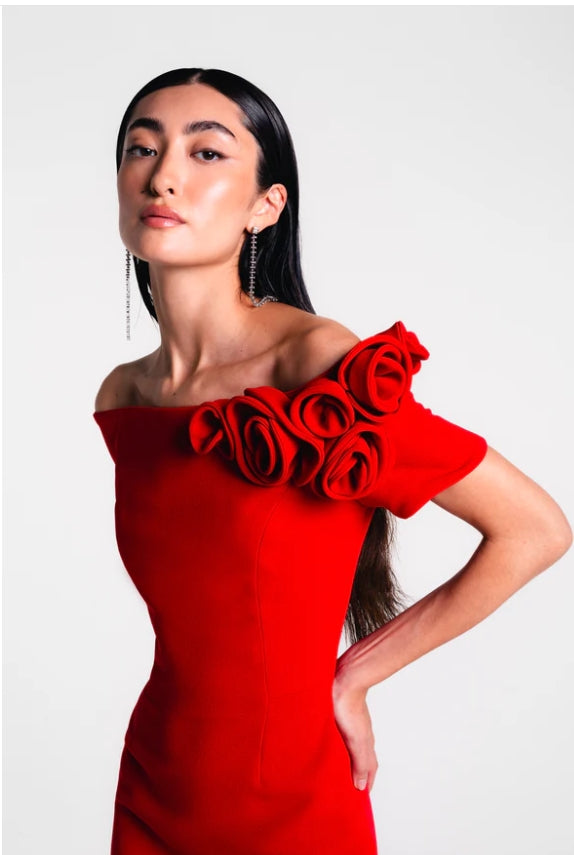 Catherine Regehr Off Shoulder Blanche Gown with Roses – Shop Cindy Halle