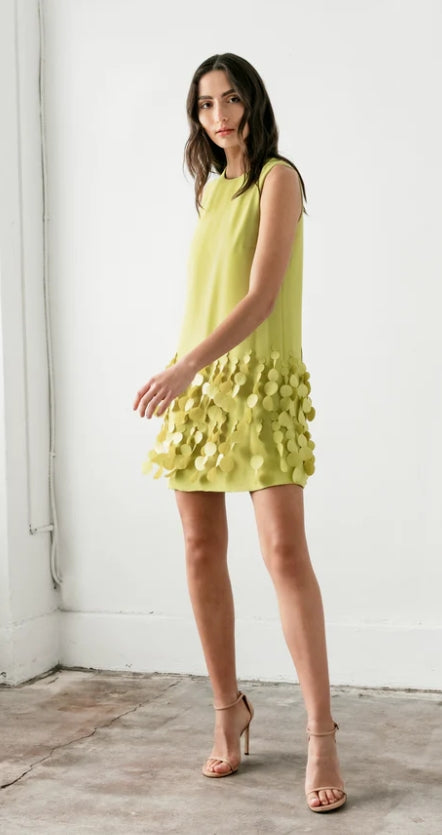 Catherine Regehr Jewel Neck Arak Dress with Mini Disc Hem – Shop Cindy Halle