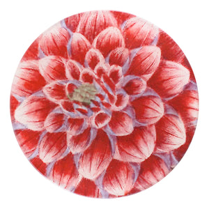 John Derian 4" Round Plate- Pink Dahlia