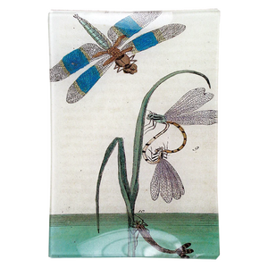 John Derian 4.5"x6.5" Rectangle Tray- Dragonflies