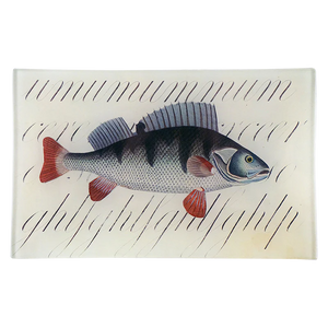 John Derian 5"x8" Rectangle Tray- Fish