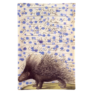 John Derian 6"x9" Rectangle Tray- Porcupine